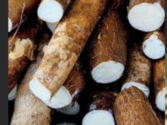 Soirée spéciale  “Jaden bokaz et mémoires paysannes de Guadeloupe ” *Kamanniok – Ado* ”de Terre Eau Dynamis